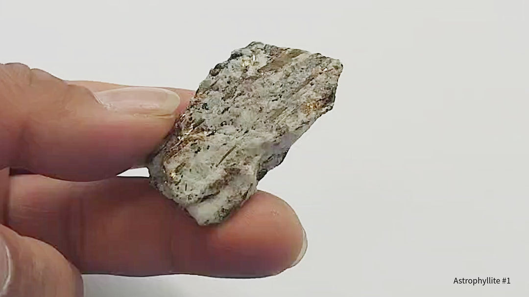 Astrophyllite mineral specimen showing golden starburst crystal formations radiating through dark matrix from Kola Peninsula Russia, rare collector mineral with metallic bronze blades and natural radiating structure.