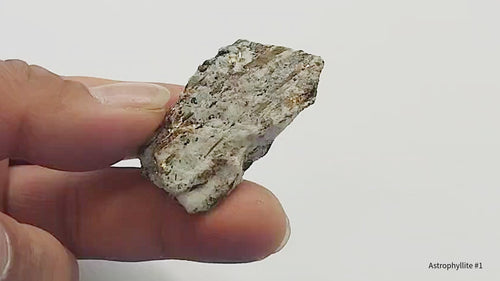 Astrophyllite mineral specimen showing golden starburst crystal formations radiating through dark matrix from Kola Peninsula Russia, rare collector mineral with metallic bronze blades and natural radiating structure.