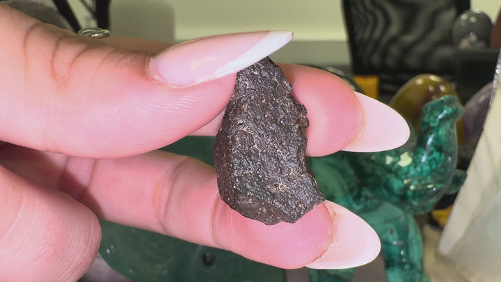 NWA 13643 CM2 Carbonaceous Chondrite Meteorite Specimen