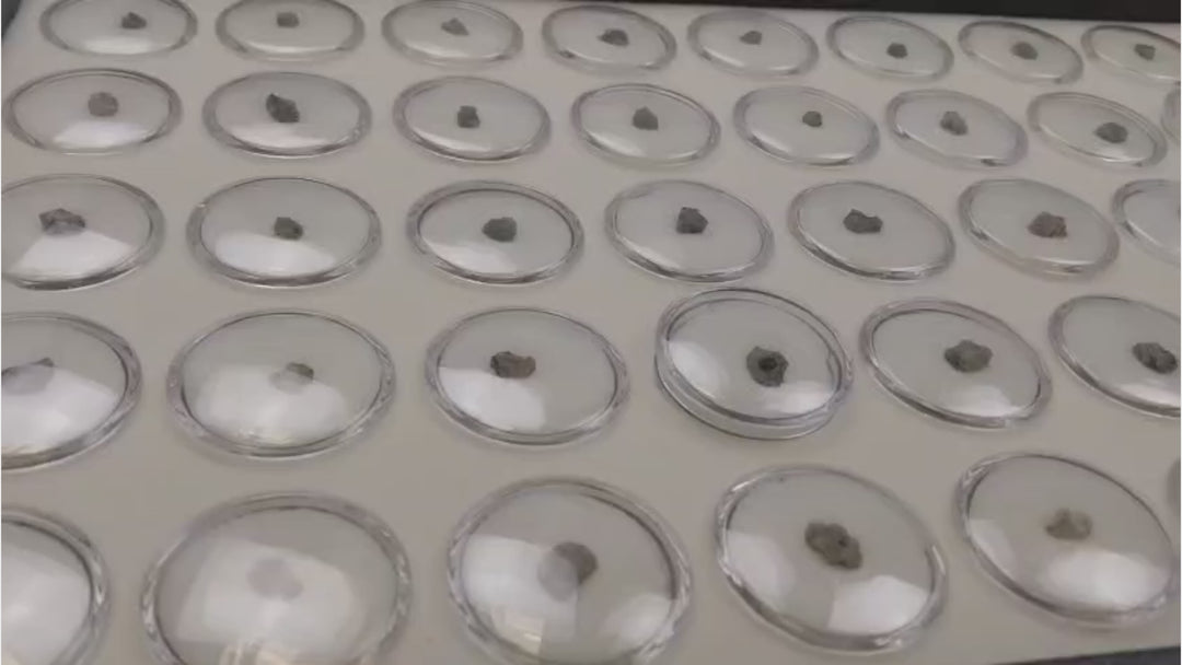 Slow rotating video showing a genuine Trinitite nuclear glass specimen from the Ralph Emerson Pray Collection formed at the Trinity Test Site in New Mexico during the 1945 atomic bomb test.