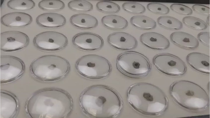 Slow rotating video showing a genuine Trinitite nuclear glass specimen from the Ralph Emerson Pray Collection formed at the Trinity Test Site in New Mexico during the 1945 atomic bomb test.