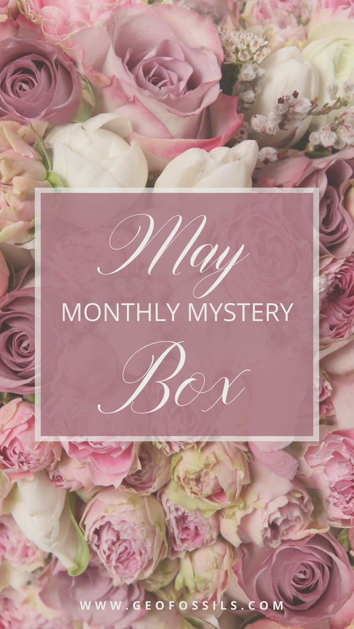 GeoFossils May 2023 Crystal subscription Box