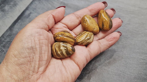 GeoFossils Cappuccino Jasper Tumble Stone video showing five polished stones held together at the start. The stones feature warm coffee-toned browns, creams, and caramel swirls. The hand slowly rotates each stone individually to reveal natural patterns and polish before returning to two stones displayed together in the palm. The video finishes with the two Cappuccino Jasper stones resting on a smooth grey background, highlighting their glossy finish and earthy banding.