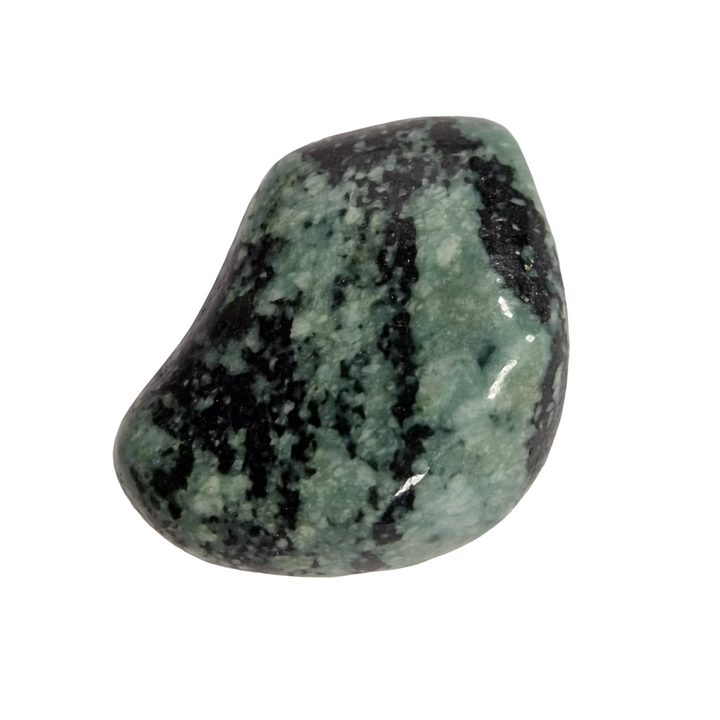 Green Black Tumble Stone Known as Green Snakeskin Jasper