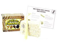 Dig Your Own Fossil Kit