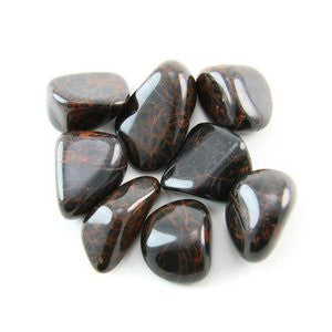 GeoFossils&laquo; Eisenkiesel Tumblestone (20-25mm) Single