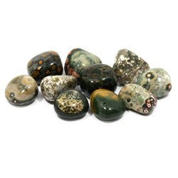 Ocean Jasper Tumble Stone (20-25mm) 5 Pack