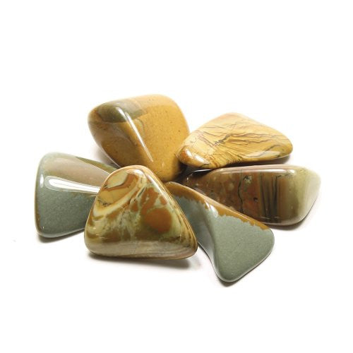 Owyhee Jasper Tumble Stone (20-25mm) 5 Pack