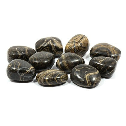 Stromatolite Tumble Stone (20-25mm) Single Stone