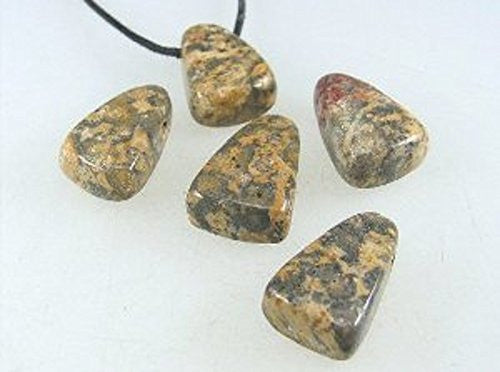 Leopardskin Jasper Drilled Tumble Stone