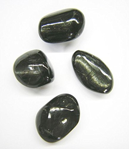 Black Star Diopside Tumble Stone 20-25mm