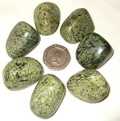Green Snakeskin Jasper Polished Healing Crystal Tumble Stone