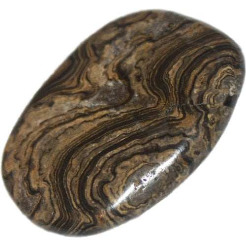 Stromatolite Palm Stone