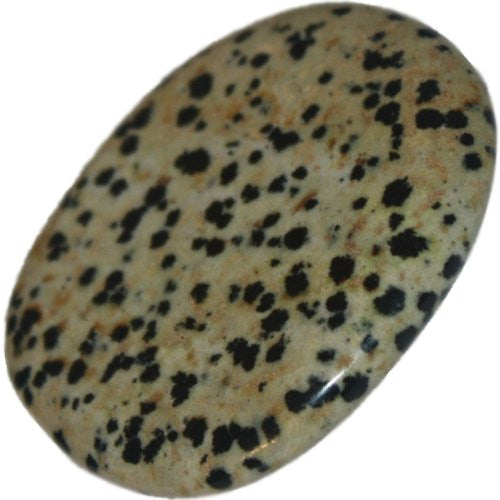 Dalmatian Stone Palm Stone