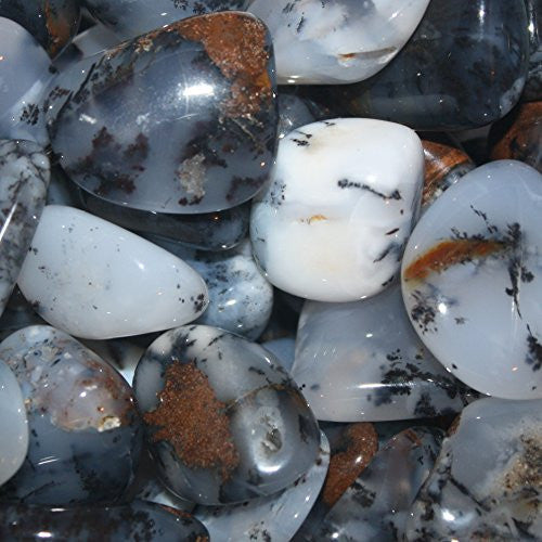 Denderitic Chalcedony Tumble Stone 20-25mm