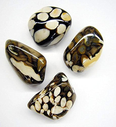 Peanut Wood Jasper Tumble Stone 20-25mm (20)