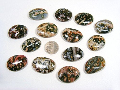 Ocean Jasper Oval Palm Stone Cabochon 30-40mm Single