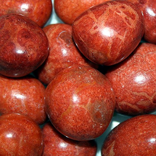 Drilled Coral Tumble Stone