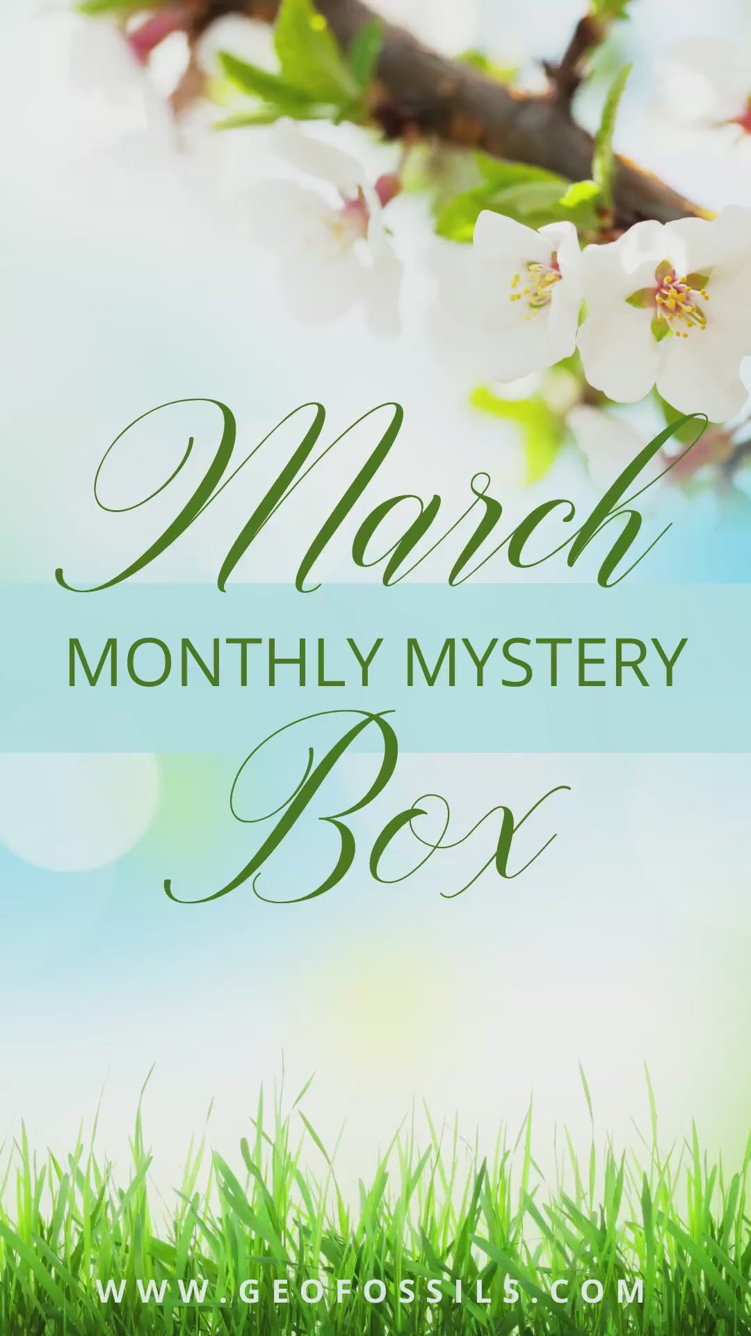 Monthly Mystery Box