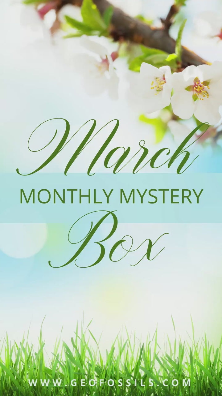 Monthly Mystery Box