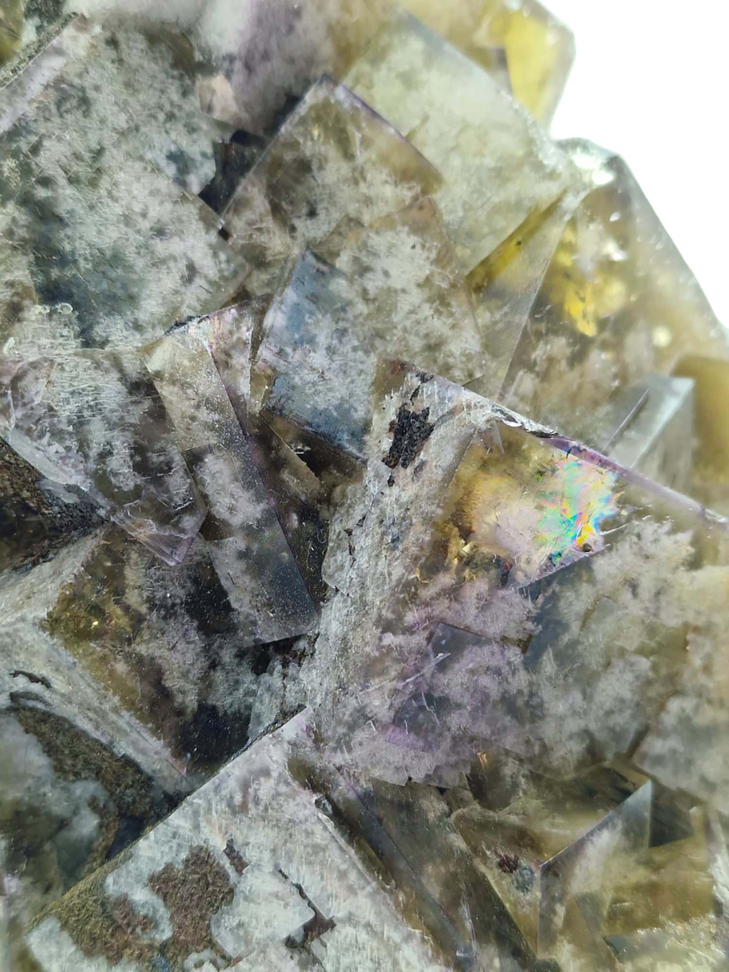 Amber and Purple Fluorite Greenlaws Mine