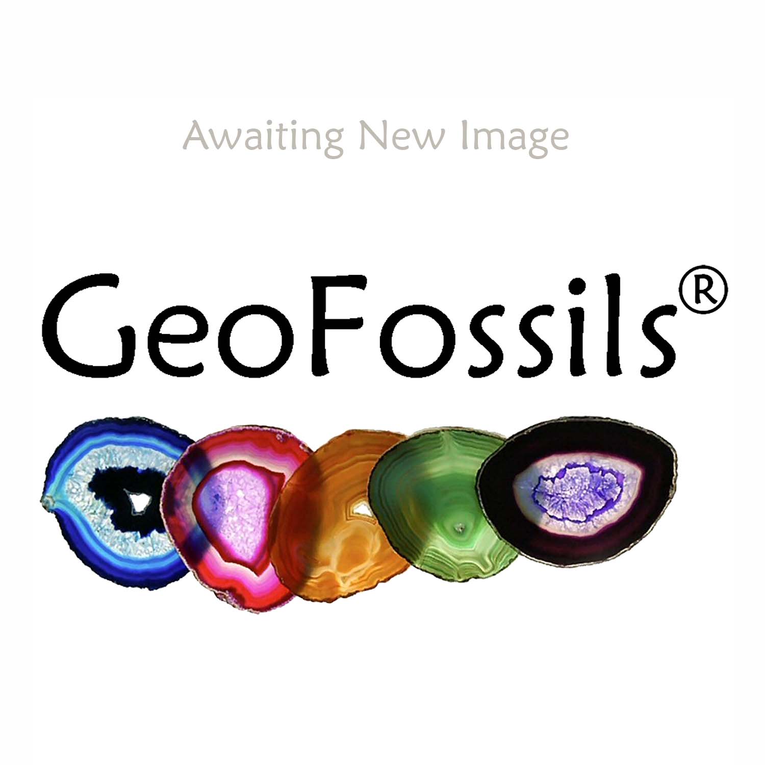 https://www.geofossils.com/collections/minerals-a-to-z/products/stalactitic-chalcedony-healing-crystal
