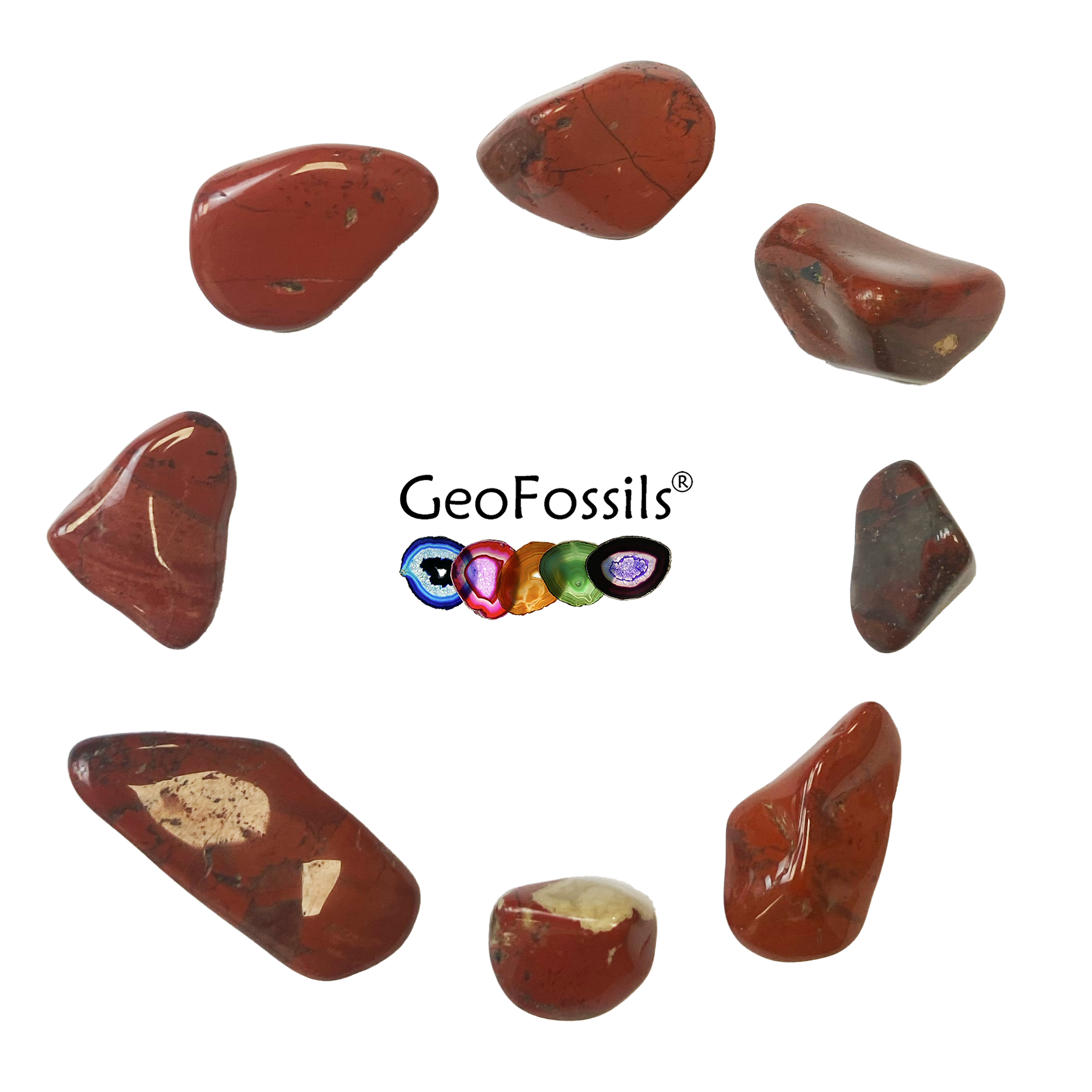 Geofossils Brecciated Jasper Polished Healing Crystal Tumble Stone