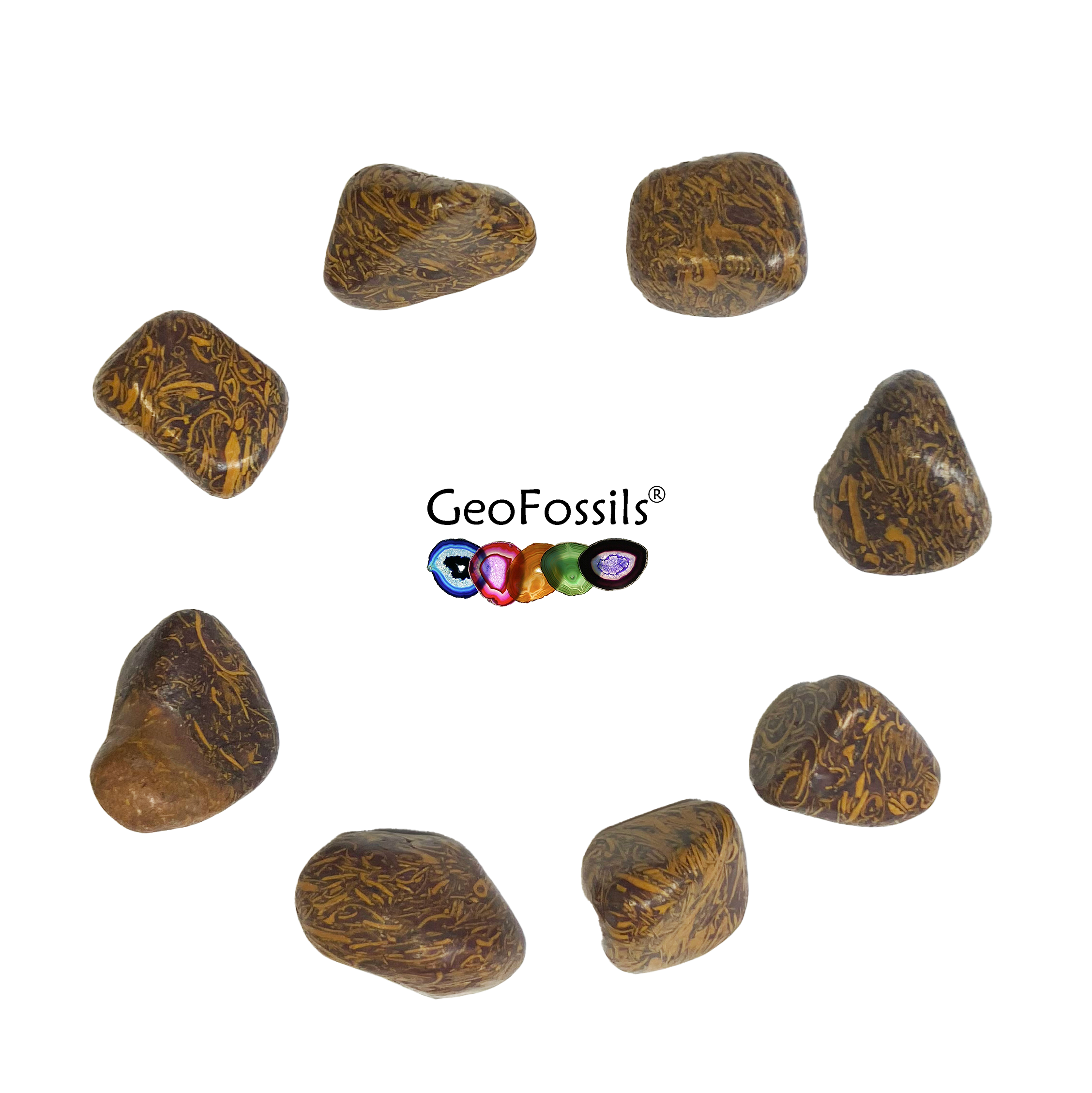 GeoFossils Calligraphy Stone Polished Healing Tumble Stone displaying intricate, script-like brown and beige patterns on a smooth, rounded surface.