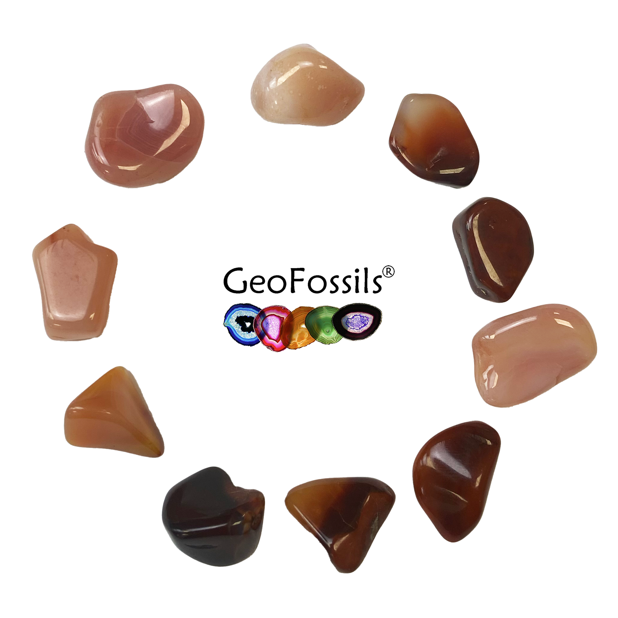 Geofossils Carnelian Polished Tumble Stone Healing Crystals