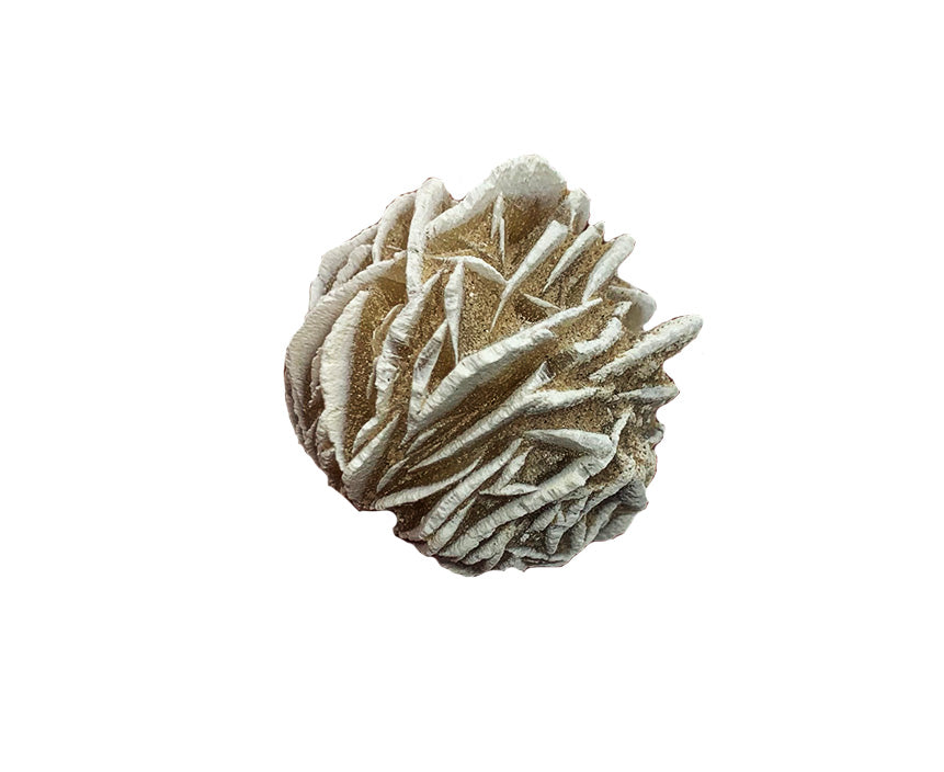 Desert Rose - Mini 20 Pack