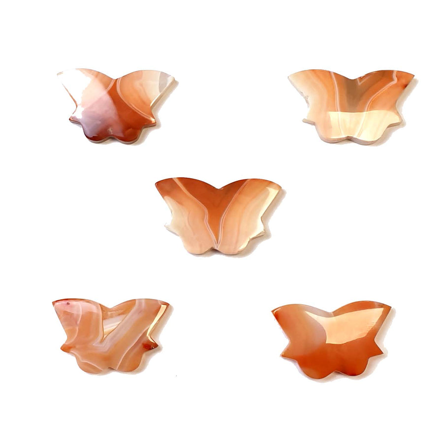GeoFossils Carnelian Butterfly 