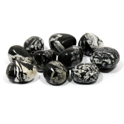 GeoFossils Chrysanthemum Stone Tumble Stone, a dark crystal with white flower-like patterns symbolising new beginnings and spiritual growth.