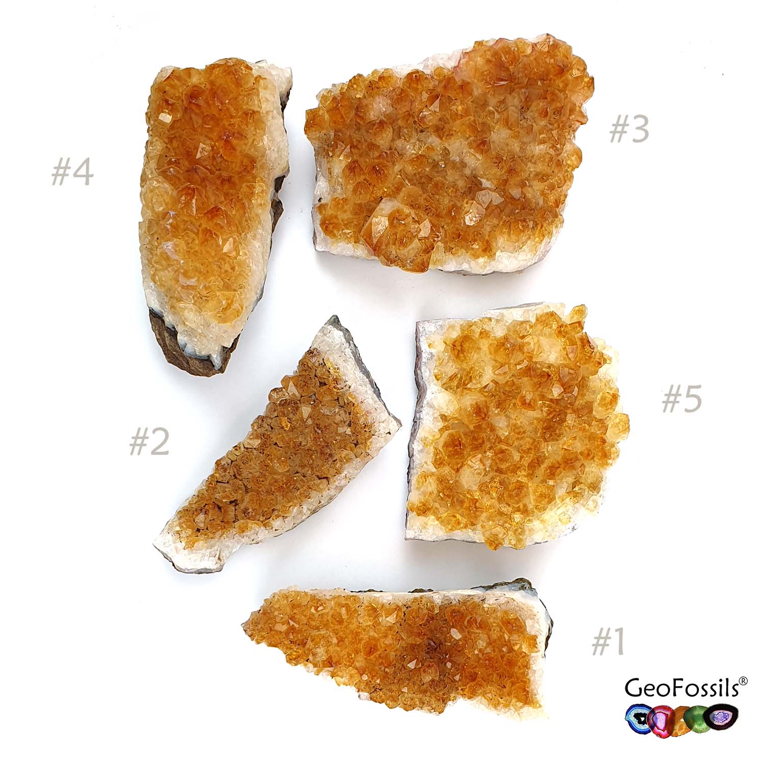 GeoFossils Citrine Crystal Clusters