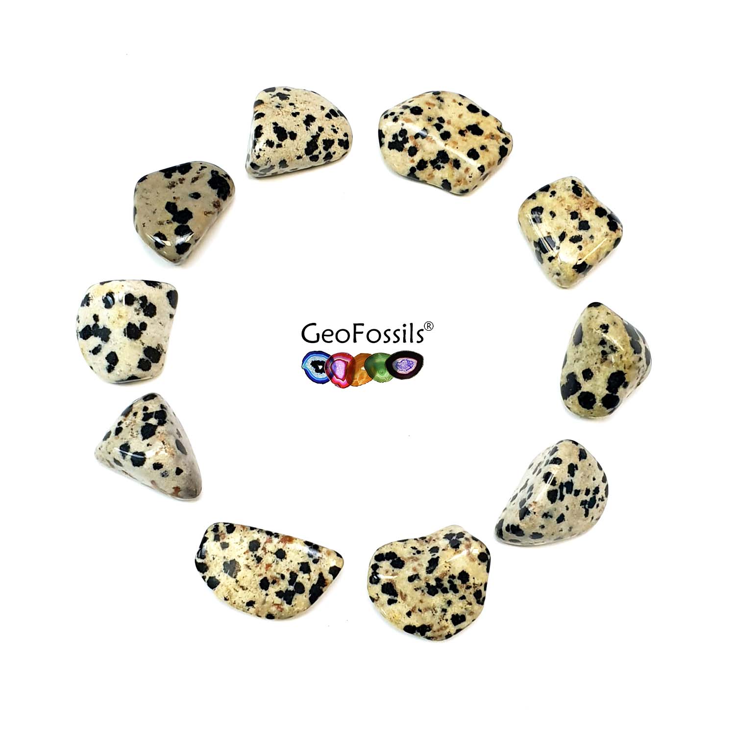 GeoFossils Dalmatian Stone Polished Healing Crystal Tumble Stone