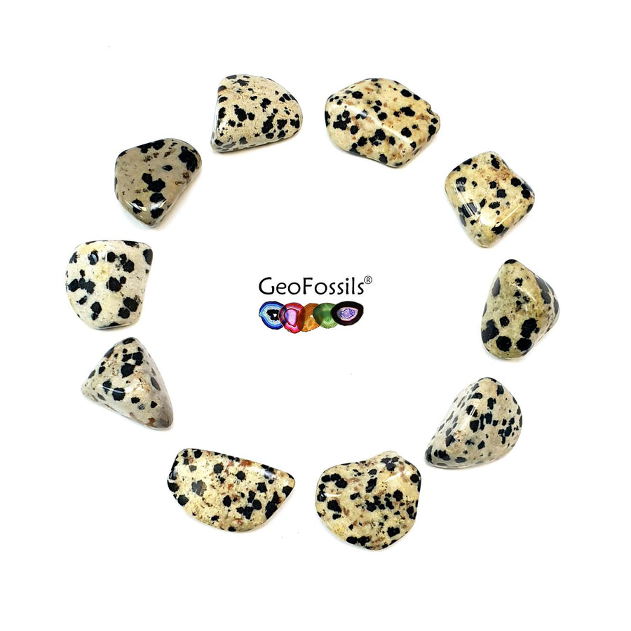 Dalmatian Stone Polished Healing Crystal Tumble Stone – polished tumble stone for crystal healing and meditation