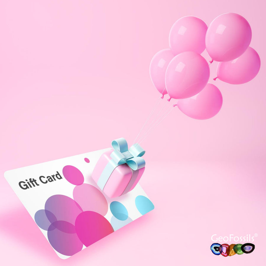 GeoFossils Gift Card