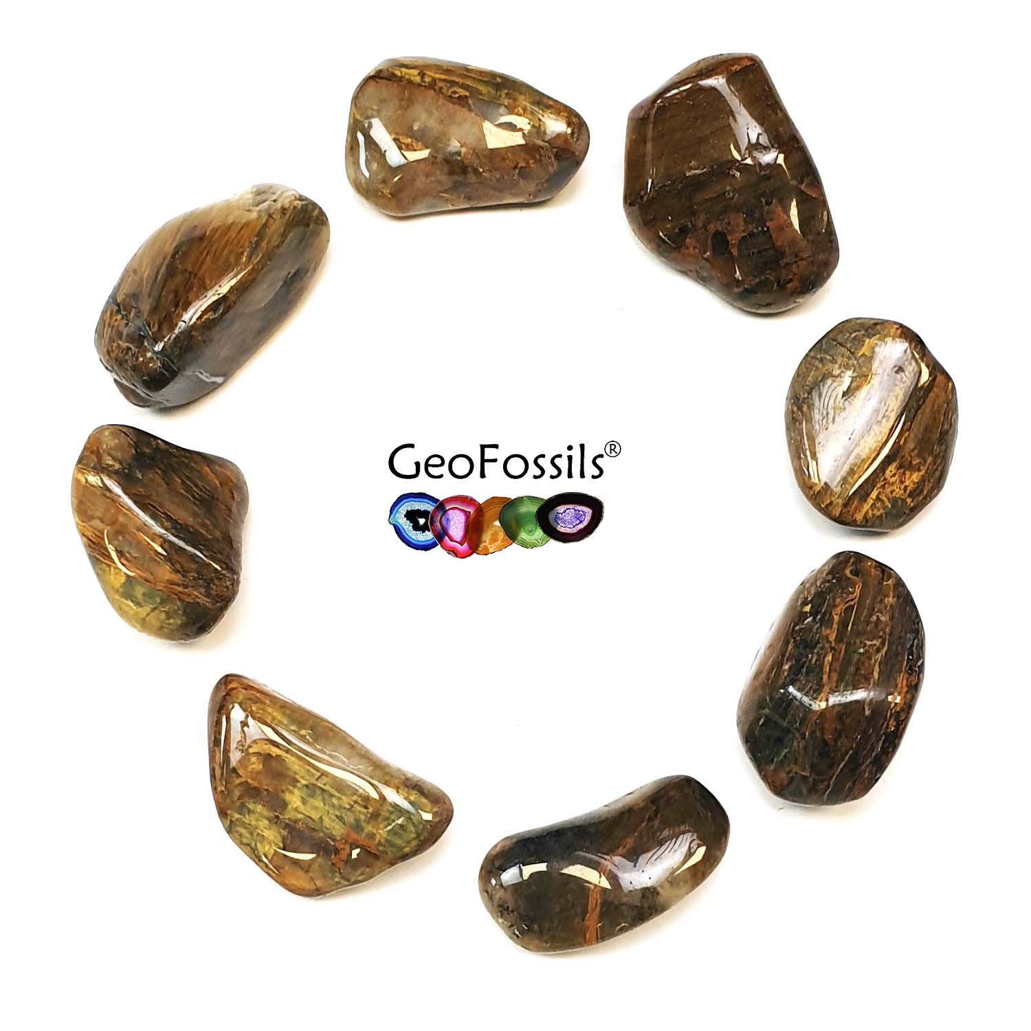 GeoFossils Lion Skin Stone Polished Healing Crystals Tumble Stone