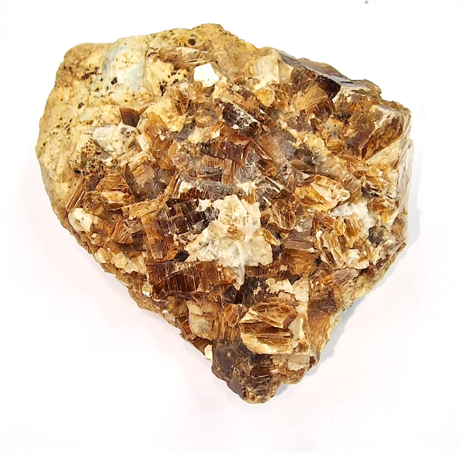 Phlogopite Mineral Cluster
