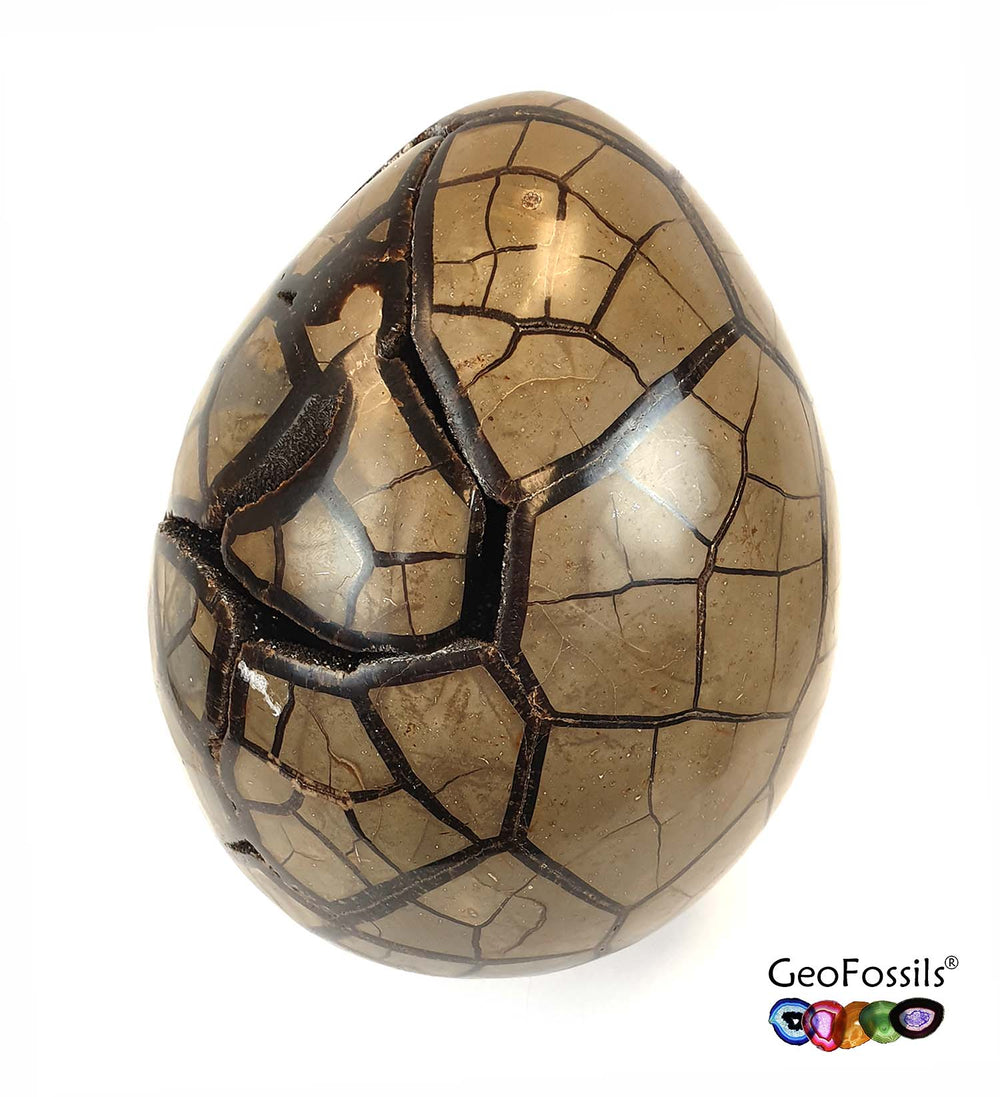Septarian Dragon Egg displaying earthy brown and golden-yellow cracked patterns, polished into a smooth, egg-shaped crystal.