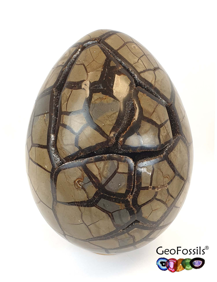Septarian Dragon Egg displaying earthy brown and golden-yellow cracked patterns, polished into a smooth, egg-shaped crystal.