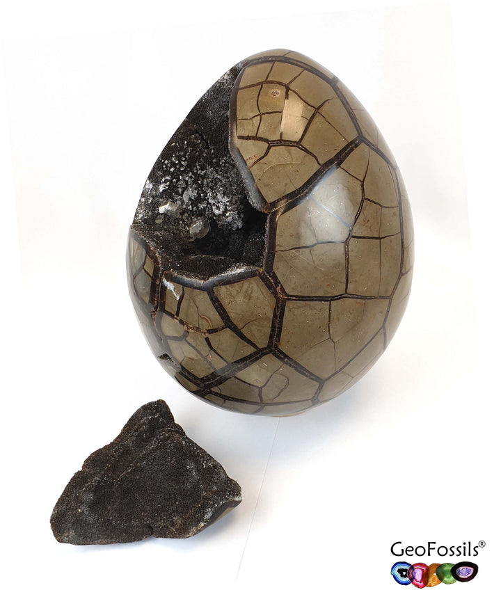 Septarian Dragon Egg displaying earthy brown and golden-yellow cracked patterns, polished into a smooth, egg-shaped crystal.