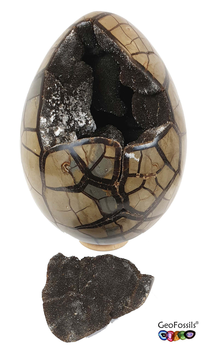 Septarian Dragon Egg with shell removed,, Septarian Dragon Egg displaying earthy brown and golden-yellow cracked patterns, polished into a smooth, egg-shaped crystal.