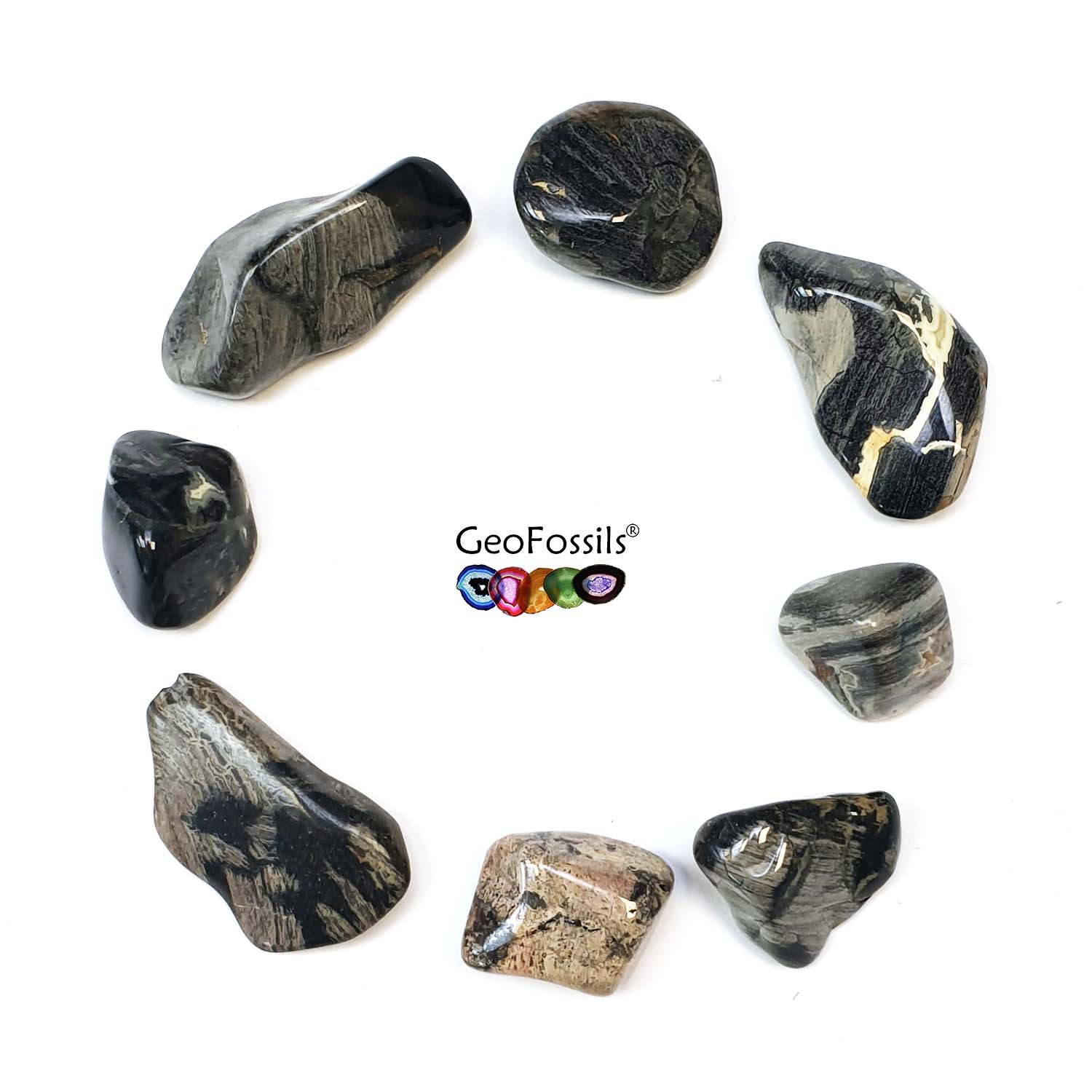 GeoFossils Silver Leaf Polished Healing Crystals Tumble Stone