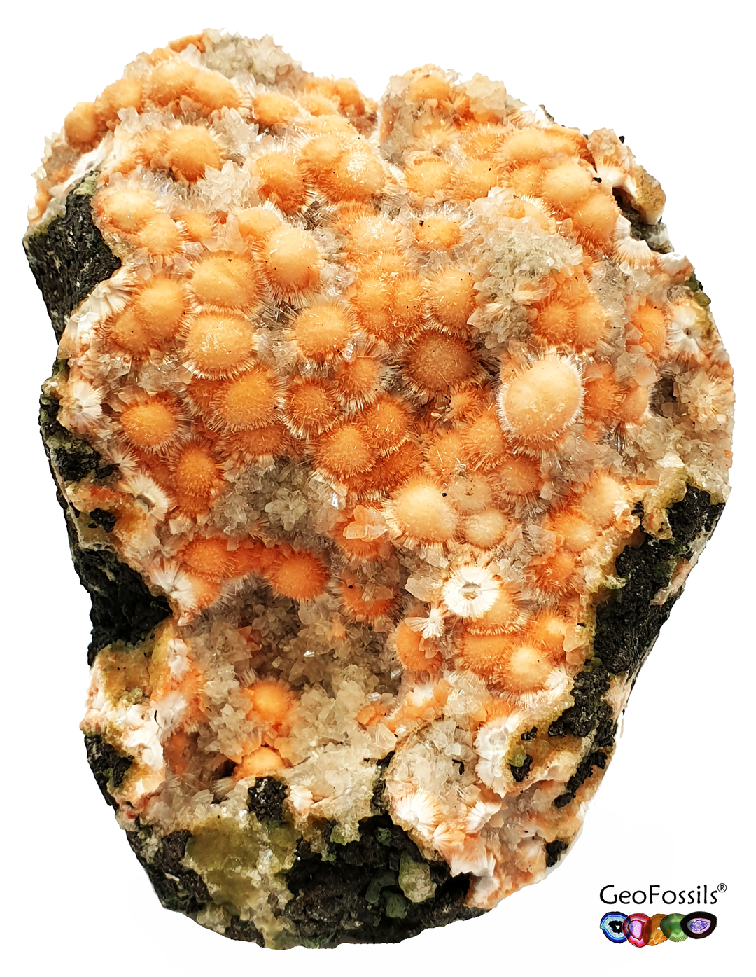 Thomsonite with Mesolite and Apophyllite on a Cut Base Mineral