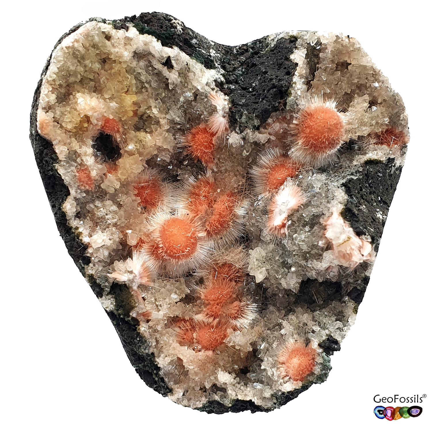 GeoFossils Thomsonite with Mesolite on apophyllite Matrix Specimen