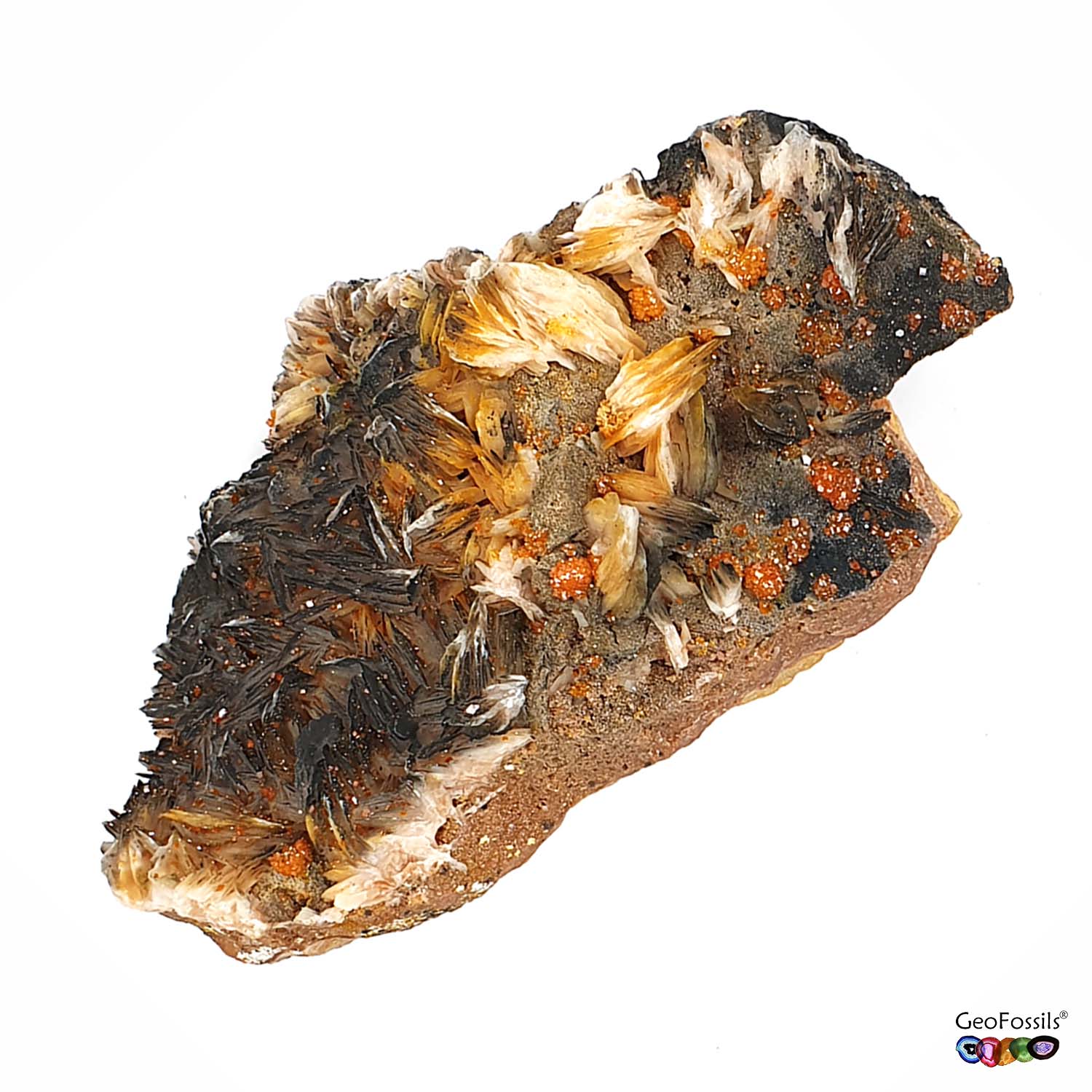 GeoFossils Vanadinite on Matrix with Baryte and Cerussite