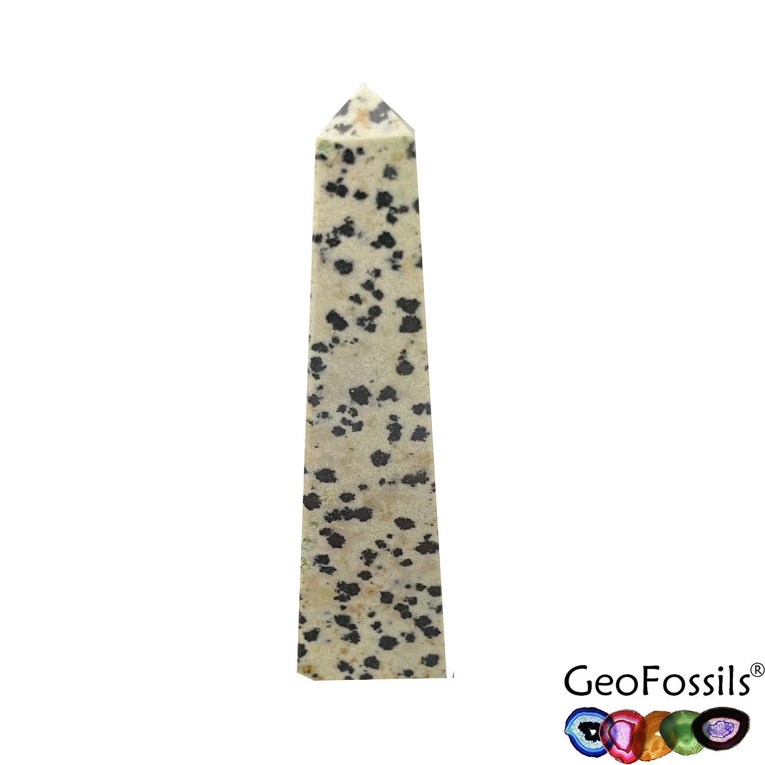 GeoFossils Dalmation Stone £10