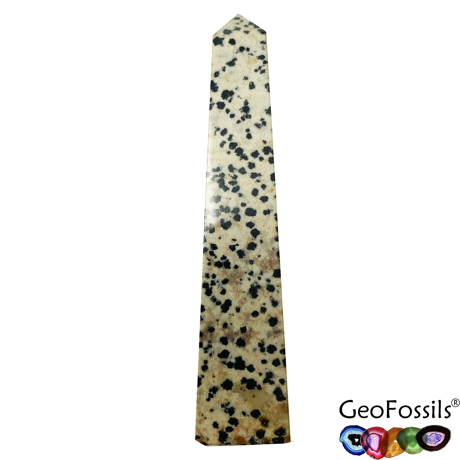 GeoFossils Dalmation Stone £18