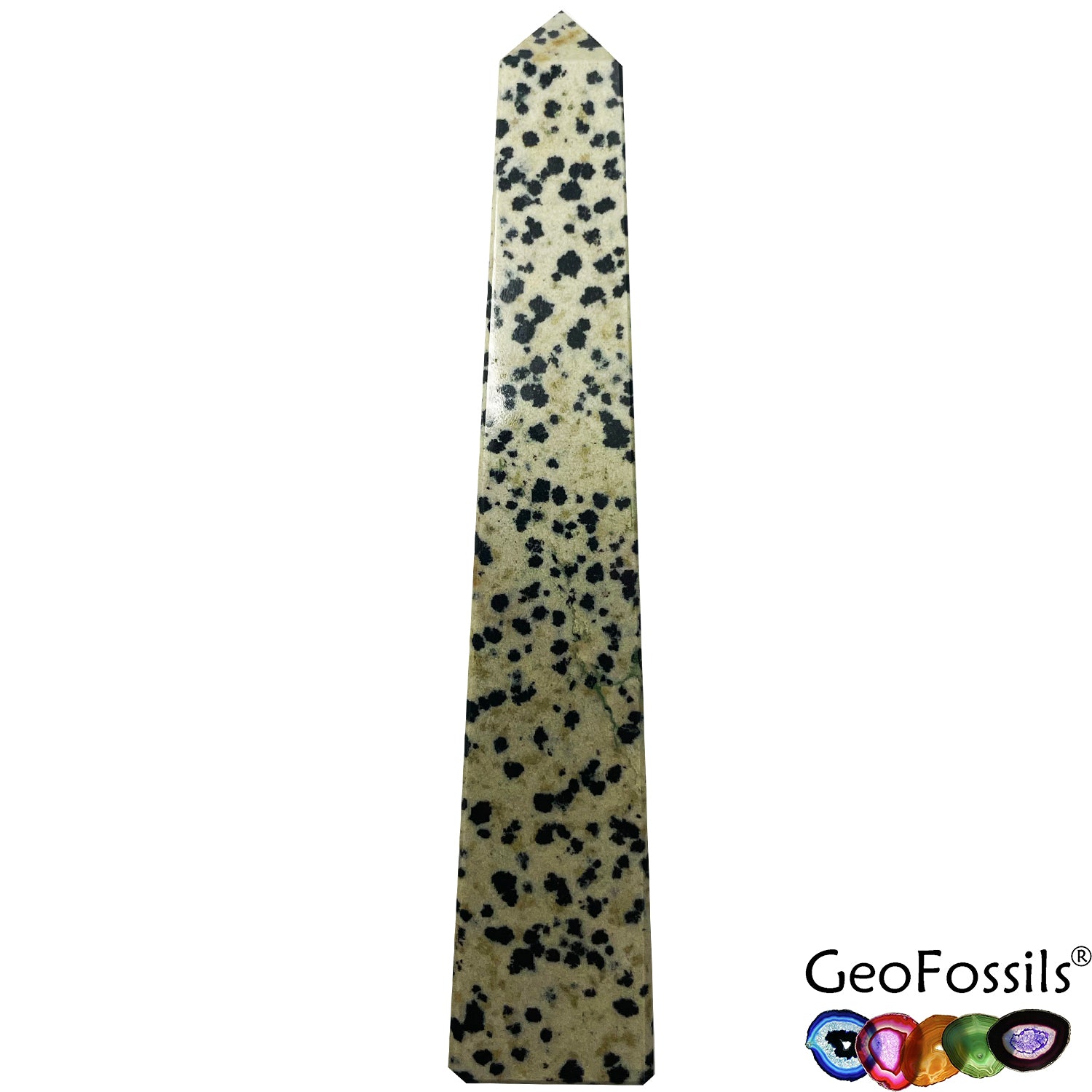 GeoFossils Dalmation Stone £20