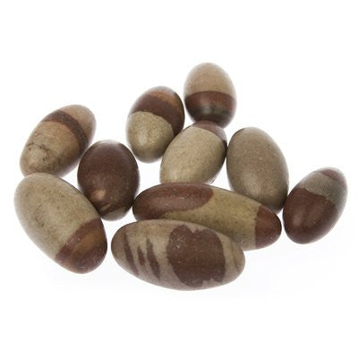 GeoFossils Shiva Lingham Stone from the Narmada River, a sacred polished stone symbolising divine balance, creation, and grounding energy.
